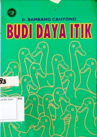 Budi Daya Itik